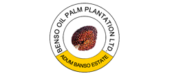 Benso Oil Palm Plantation